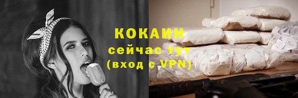 крисы Баксан