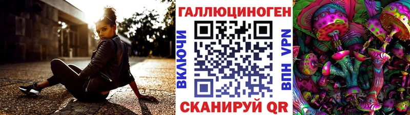 Галлюциногенные грибы Cubensis  купить наркотик  Горячий Ключ 