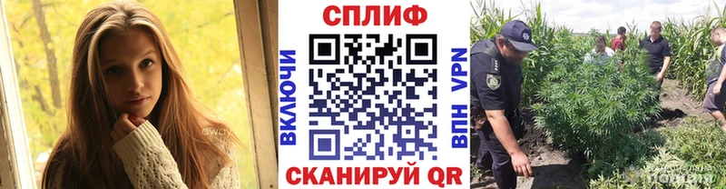 Шишки марихуана сатива  Горячий Ключ 